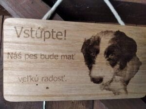 Kategória výrobkov 22 220781103 4073984802697797 3640995431950473793 n