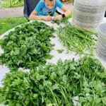 Jankina VEGE-TATA - domáca vegeta BEZ SOLI