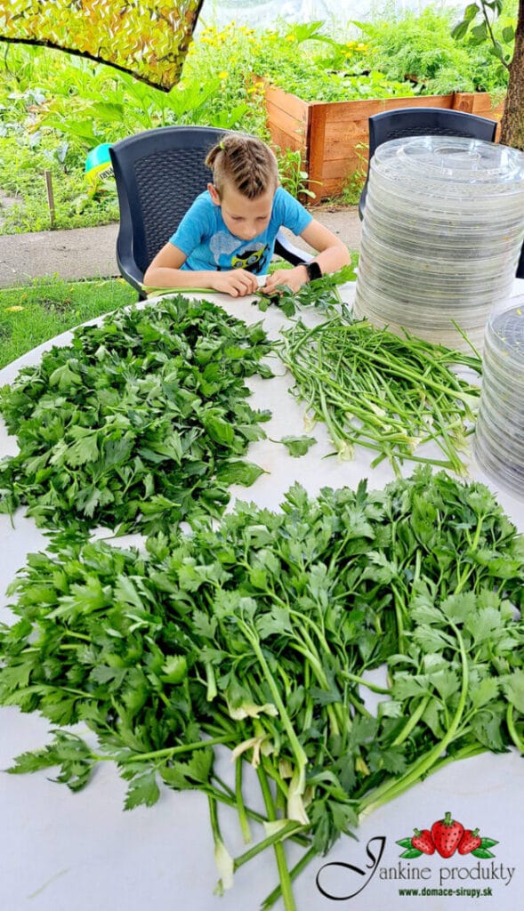 Jankina VEGE-TATA - domáca vegeta BEZ SOLI