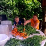 Jankina VEGE-TATA - domáca vegeta BEZ SOLI